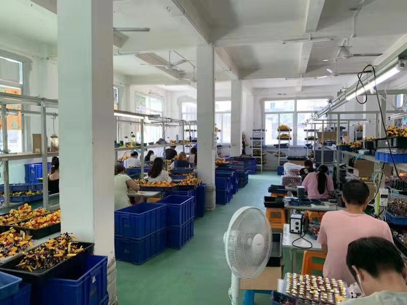 上海查获小黄人等百余款侵权玩具产品 涉案逾2亿元