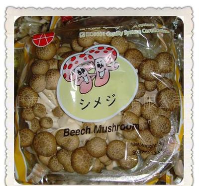 【厂家直供优质蟹味菇 三晋拥有蟹味菇种植基地 种植技术】价格_厂家_图片